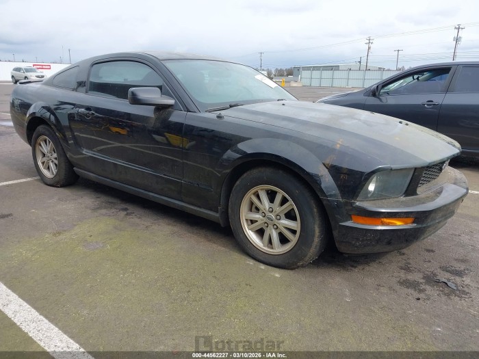 Ford Mustang 2007 VIN 1ZVFT80N575317374
