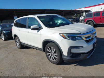 Honda Pilot 2019 5FNYF6H51KB075315
