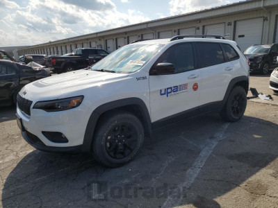 Jeep Cherokee 2022 1C4PJMCX6ND547365
