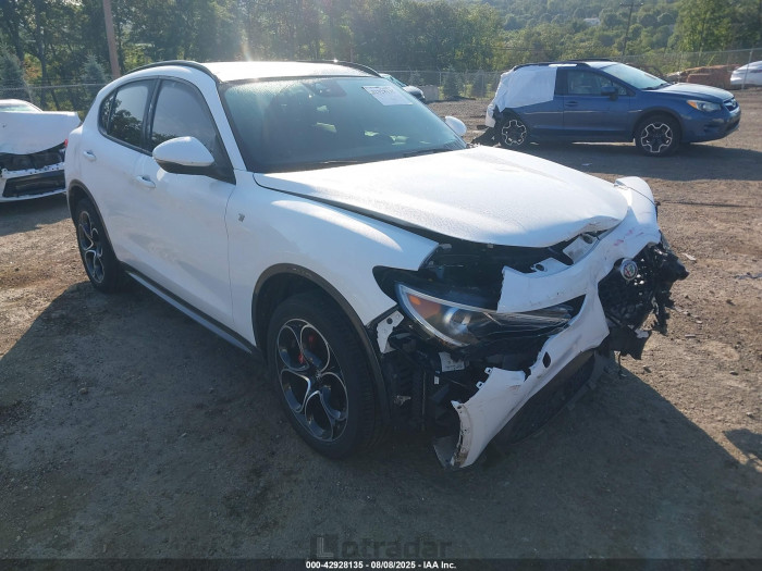 Alfa romeo Stelvio 2022 VIN ZASPAKBN5N7D24907