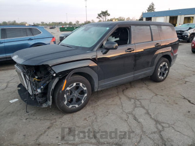 Hyundai Santa fe 2025 5NMP1DGL9SH128775