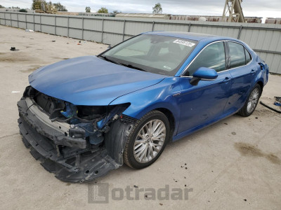 Toyota Camry 2019 4T1B21HK7KU013883