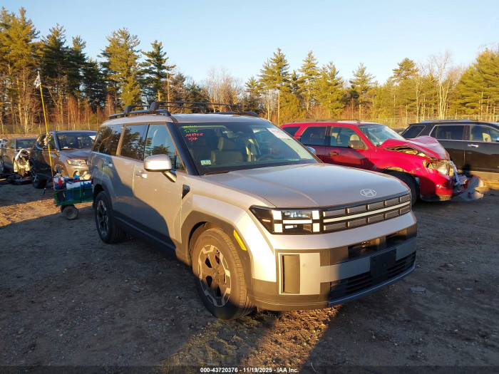 Hyundai Santa fe 2025 VIN 5NMP2DGL6SH133347