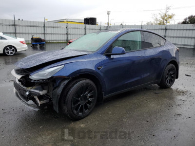 Tesla Model y 2025 7SAYGDEE7SF290464