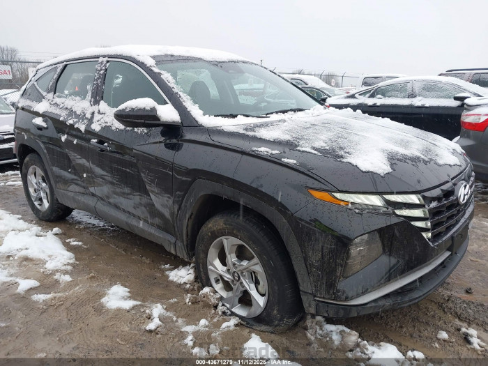 Hyundai Tucson 2024 VIN 5NMJACDE8RH406596
