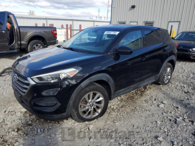 Hyundai Tucson 2016 KM8J23A48GU259089