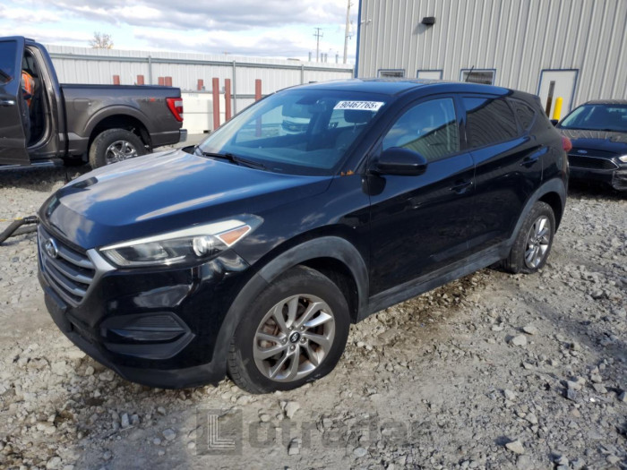 Hyundai Tucson 2016 VIN KM8J23A48GU259089