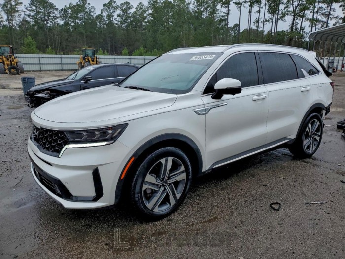 Kia Sorento 2023 VIN KNDRKDLG8P5227127