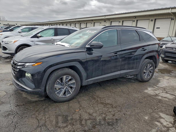 Hyundai Tucson 2023 VIN KM8JBCA15PU117496