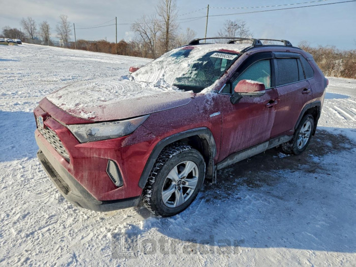 Toyota Rav4 2020 VIN 2T3BWRFV8LW059683