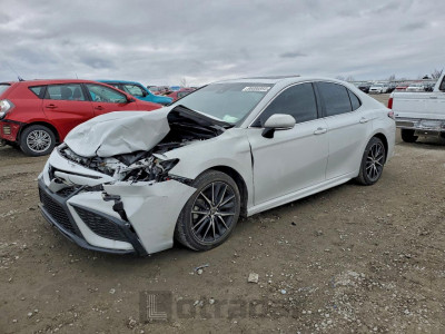 Toyota Camry 2023 4T1T11AK4PU169615