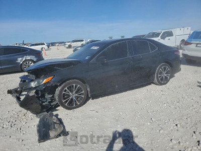 Toyota Camry 2019 4T1B11HKXKU252301