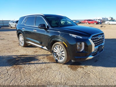 Hyundai Palisade 2020 KM8R54HE4LU046052