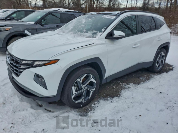Hyundai Tucson 2024 VIN KM8JCCD13RU217253