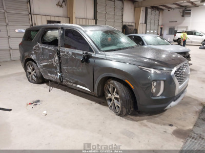 Hyundai Palisade 2020 KM8R44HE9LU039083