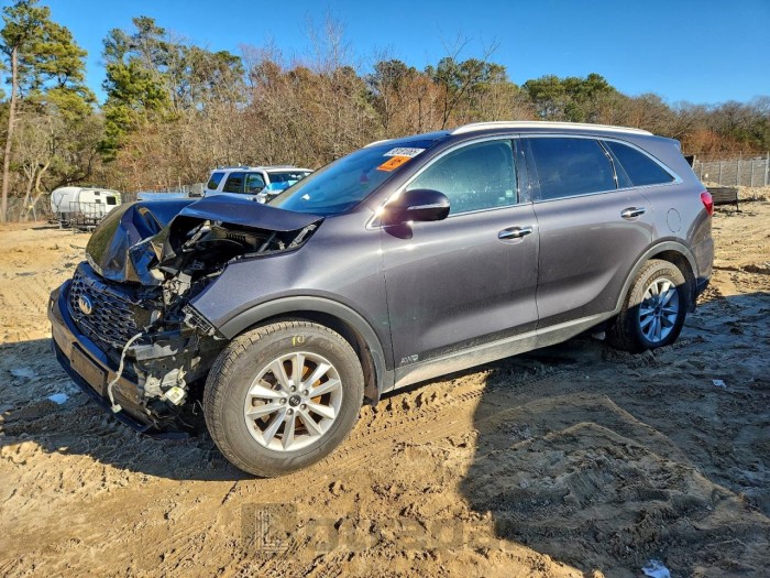 Kia Sorento 2019 VIN 5XYPGDA33KG437014