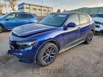 Alfa romeo Stelvio 2019 VIN ZASPAKBN4K7C30416