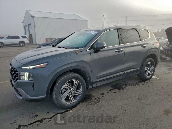 Hyundai Santa fe 2023 VIN 5NMS2DAJ1PH488094