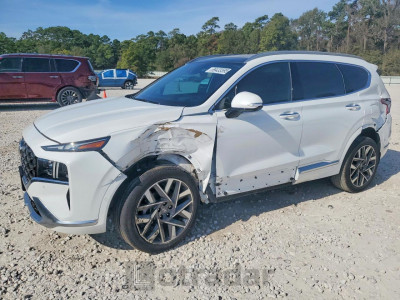 Hyundai Santa fe 2023 5NMS5DAL4PH528712