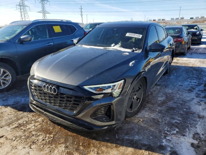 Audi Q8 2024 VIN WA1EAAGE5RB049104