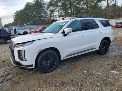 Hyundai Palisade 2025 KM8R7DGE1SU865269