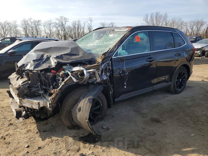 Honda Cr-v 2024 VIN 5J6RS6H59RL004106