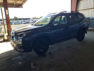 Subaru Forester 2024 VIN JF2SKAGC9RH502451