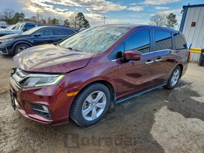 Honda All models 2019 VIN 5FNRL6H78KB103223