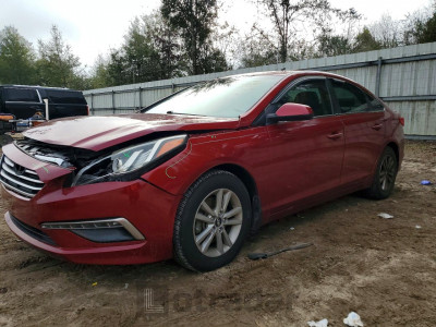 Hyundai Sonata 2015 5NPE24AF4FH146942