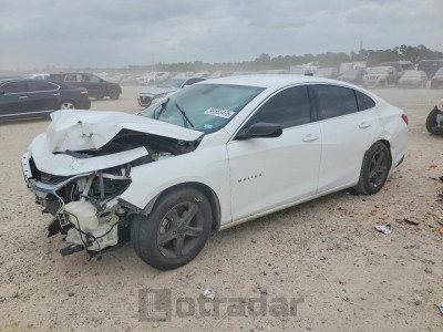 Chevrolet Malibu 2019 1G1ZB5STXKF206425