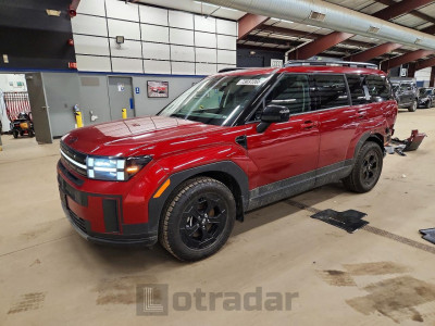 Hyundai Santa fe 2024 5NMP3DGL2RH040848