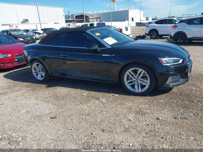 Audi A5 2019 VIN WAUYNGF51KN008174