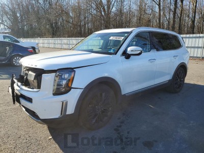 Kia Telluride 2020 VIN 5XYP5DHC0LG083496