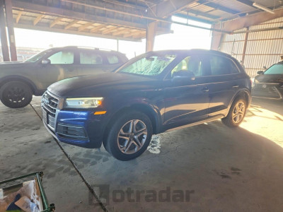 Audi Q5 2019 WA1ANAFY3K2024349