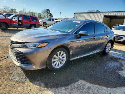 Toyota Camry 2019 4T1B11HK5KU173988