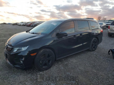 Honda Odyssey 2019 5FNRL6H70KB059783