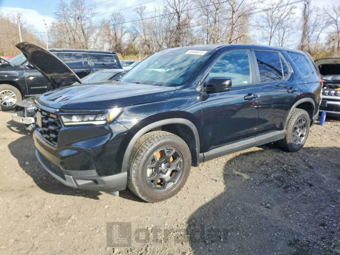 Honda Pilot 2025 VIN 5FNYG1H66SB012798