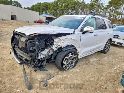 Hyundai Palisade 2022 KM8R7DHE9NU365086