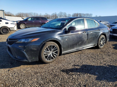 Toyota Camry 2024 4T1G11AKXRU860846