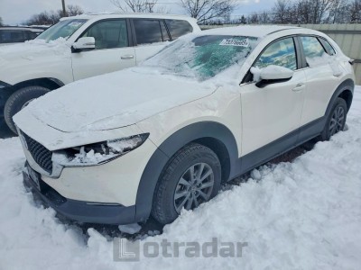 Mazda Cx-30 2020 3MVDMBBL5LM103701