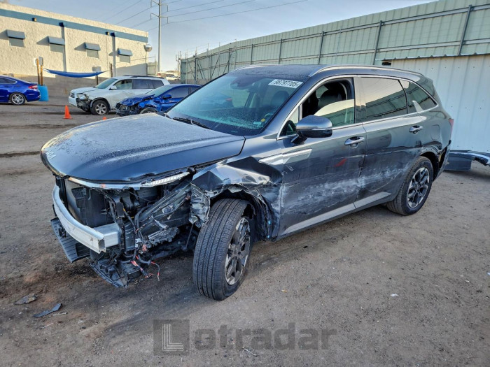 Kia Sorento 2024 VIN 5XYRL4JC5RG256298