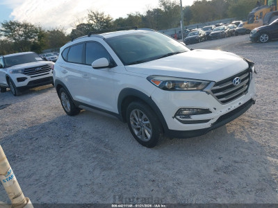 Hyundai Tucson 2017 KM8J33A49HU273176