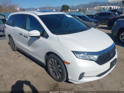 Honda Odyssey 2023 VIN 5FNRL6H61PB073478