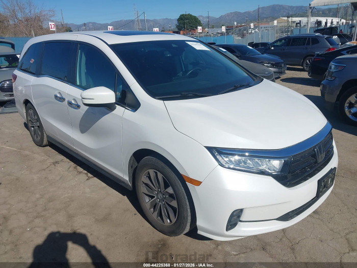 Honda Odyssey 2023 VIN 5FNRL6H61PB073478