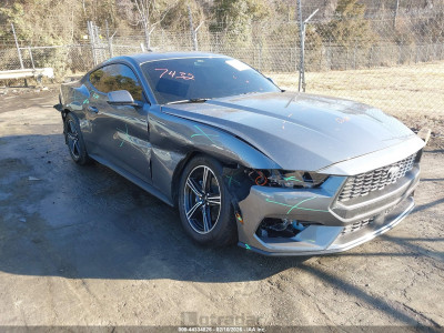 Ford Mustang 2025 1FA6P8TH6S5129149