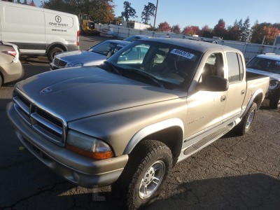 Dodge Dakota 2002 VIN 1B7HG48N12S590528