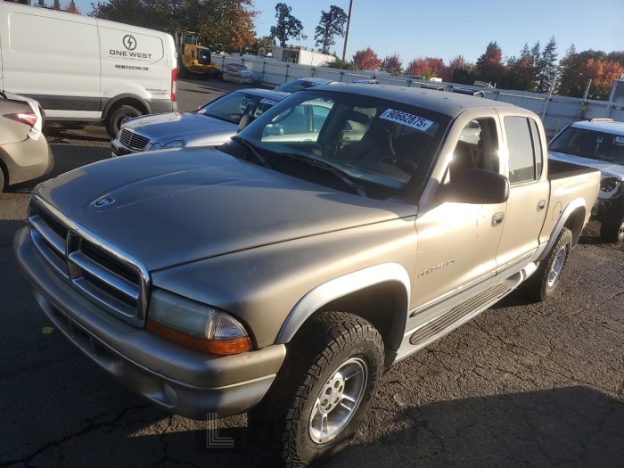 Dodge Dakota 2002 VIN 1B7HG48N12S590528