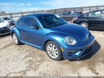 Volkswagen Beetle 2017 VIN 3VWF17AT5HM620616