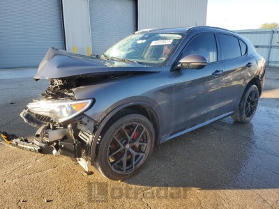Alfa romeo Stelvio 2020 VIN ZASPAKBN7L7C88764