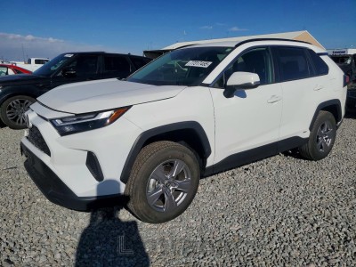 Toyota Rav4 2023 VIN JTMRWRFV7PD207209